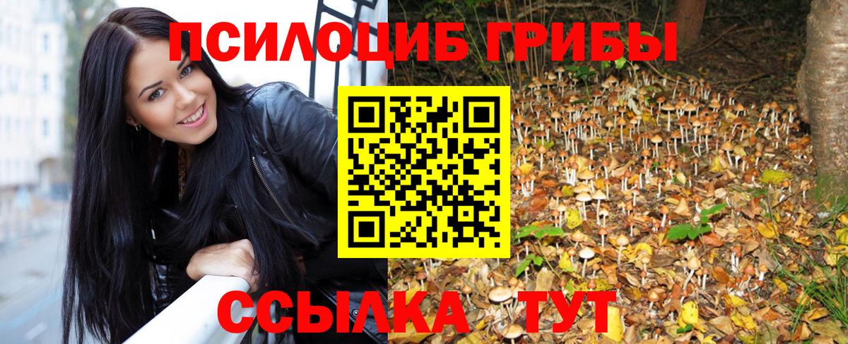 Галлюциногенные грибы Cubensis  Вход с VPN  Клин  купить наркотики сайты  Галлюциногенные грибы Cubensis 