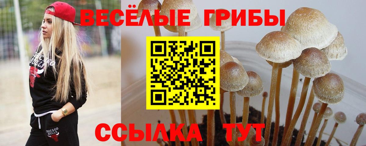 Галлюциногенные грибы Psilocybine cubensis Клин